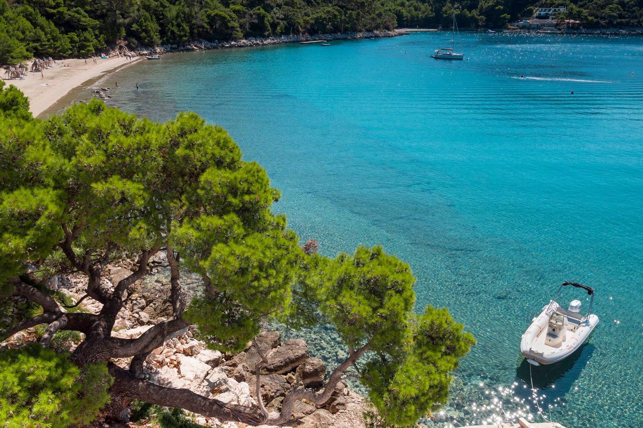 Pine Tree Boutique Apartments Saplunara Εξωτερικό φωτογραφία