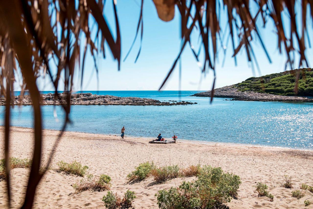 Pine Tree Boutique Apartments Saplunara Εξωτερικό φωτογραφία